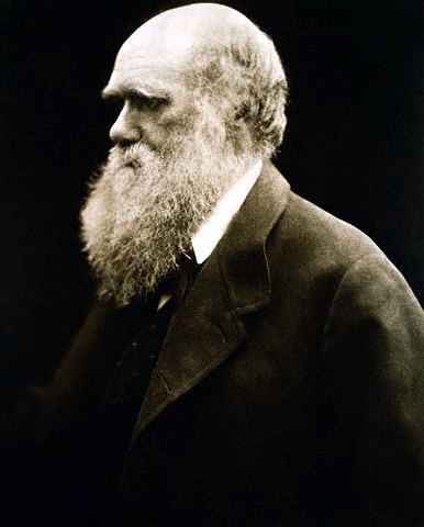 Portrait Charles Darwin