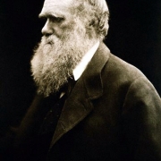 Abbildung Charles Darwin
